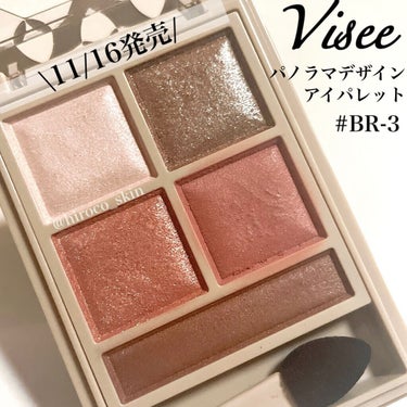 パノラマデザイン アイパレット/Visée/アイシャドウパレットを使ったクチコミ（1枚目）