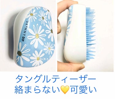 コンパクトスタイラー/TANGLE TEEZER/ヘアブラシを使ったクチコミ（1枚目）