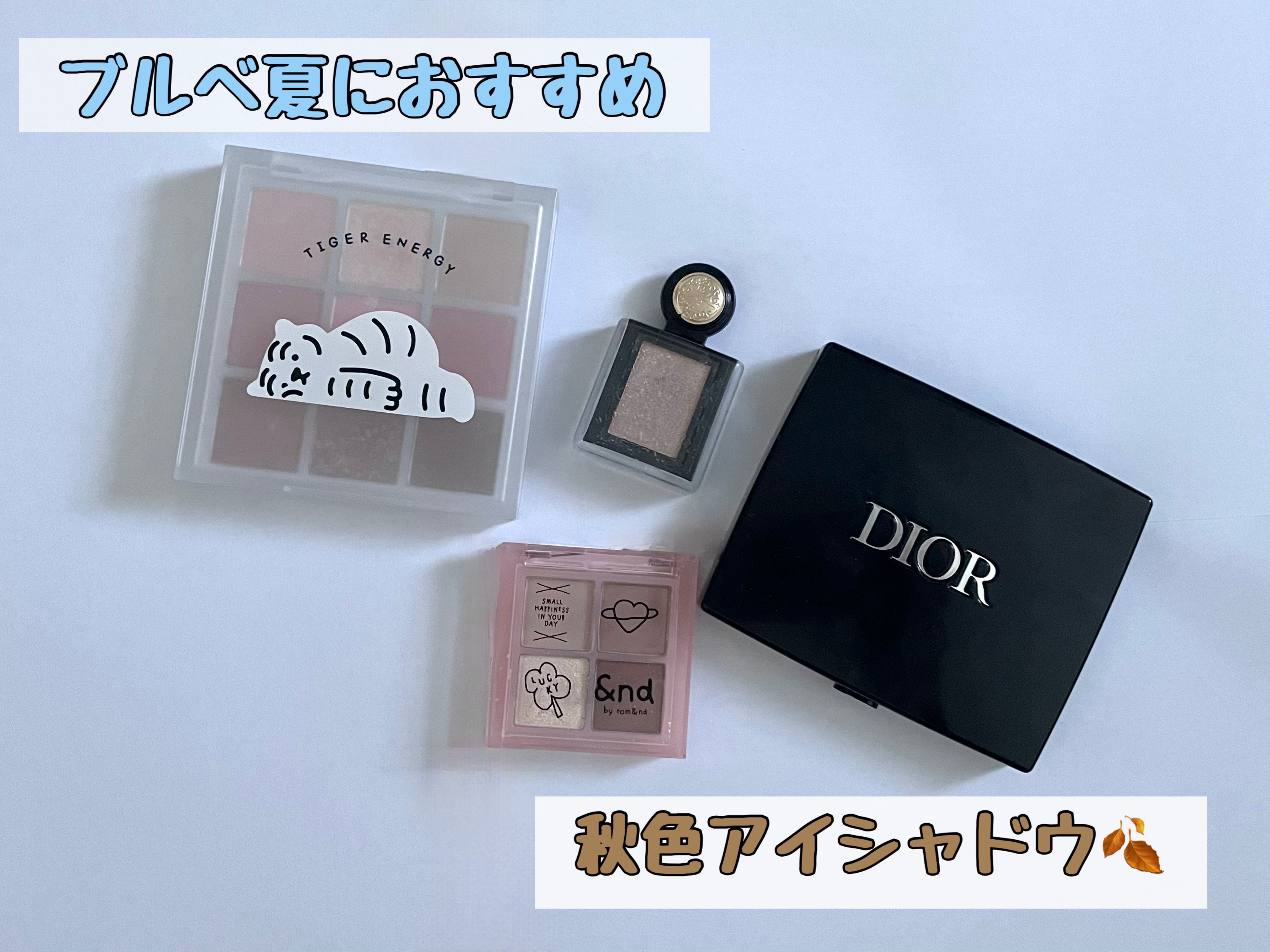 シャドーカスタマイズ (フローティング)/MAJOLICA MAJORCA/単色アイシャドウを使ったクチコミ（1枚目）