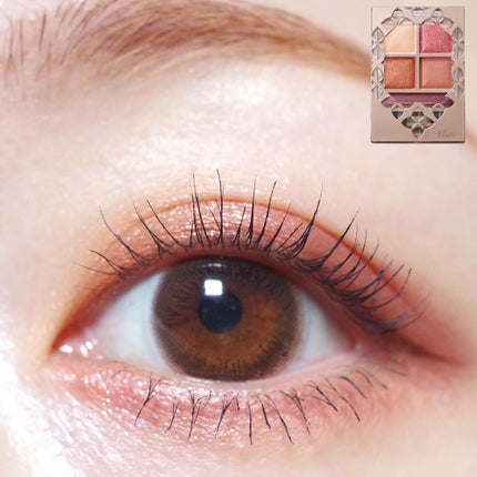 パノラマデザイン アイパレット/Visée/アイシャドウパレットを使ったクチコミ(1枚目)