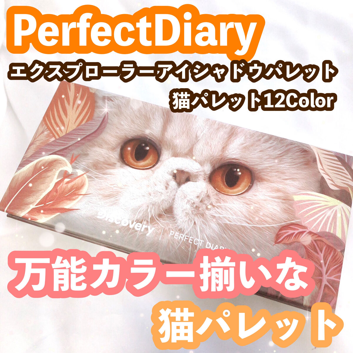 エクスプローラ12色 動物アイシャドウパレット/PERFECT DIARY/アイシャドウパレットを使ったクチコミ（1枚目）