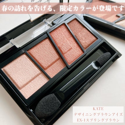 デザイニングブラウンアイズ/KATE/アイシャドウパレットを使ったクチコミ(2枚目)