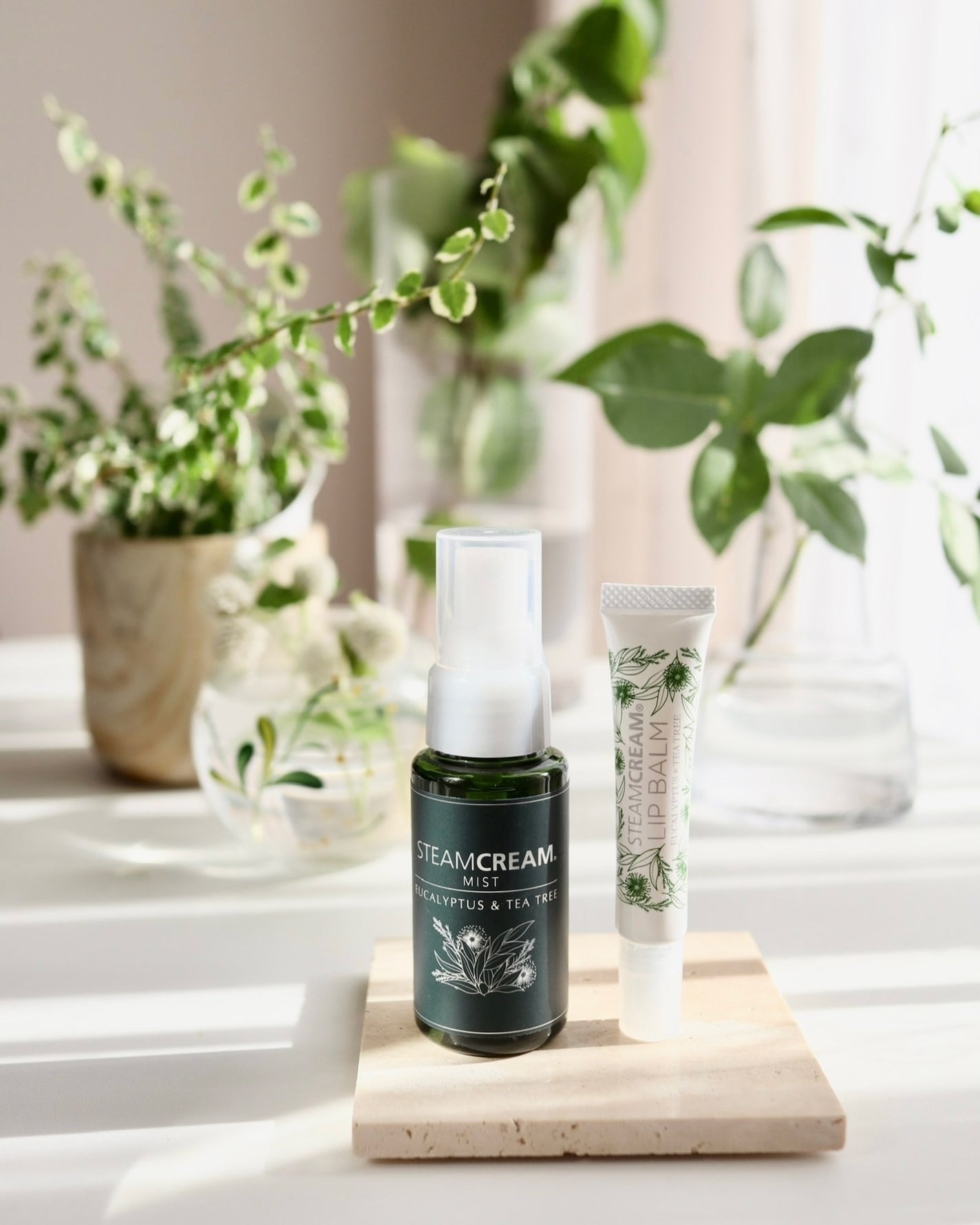 リップバームユーカリ&ティーツリー/STEAMCREAM/リップバームを使ったクチコミ(1枚目)