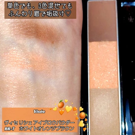 ヴィセ リシェ アイブロウパウダー/Visée/パウダーアイブロウを使ったクチコミ(1枚目)