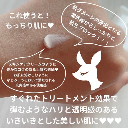 ハイパフォーマンス デイクリーム/ALBION/化粧下地を使ったクチコミ(2枚目)