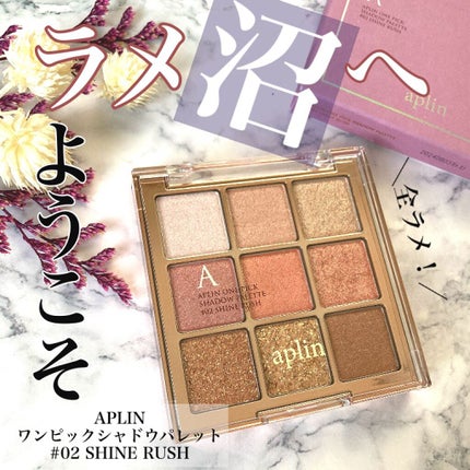 ワンピックアイシャドウパレット/APLIN/アイシャドウパレットを使ったクチコミ(1枚目)