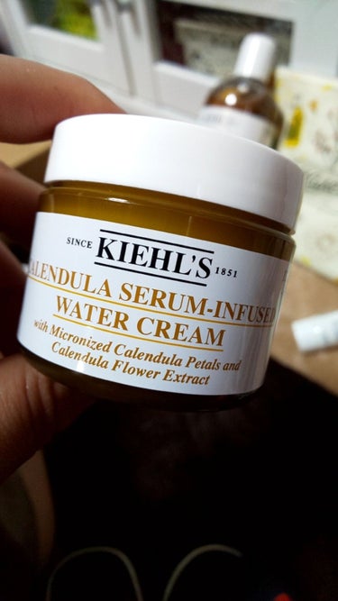 キールズ バタースティック リップ トリートメント/Kiehl's/リップケア・リップクリームを使ったクチコミ（2枚目）