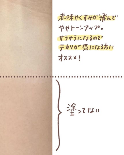 オイルコントロールパウダー<医薬部外品>/ファンケル/プレストパウダーを使ったクチコミ(3枚目)