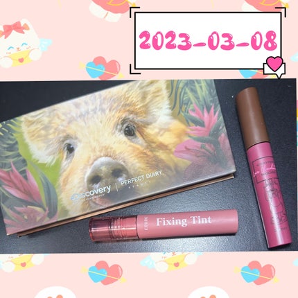 エクスプローラ12色 動物アイシャドウパレット/PERFECT DIARY/アイシャドウパレットを使ったクチコミ(1枚目)