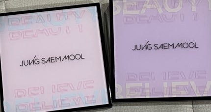 アーティストアイパレット/JUNG SAEM MOOL/アイシャドウパレットを使ったクチコミ(4枚目)