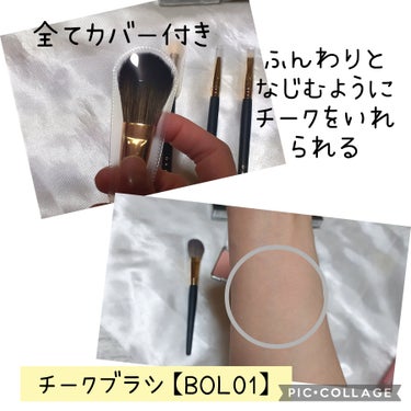 Nose Shading Fan Brush SUN03/okhee/その他を使ったクチコミ（3枚目）