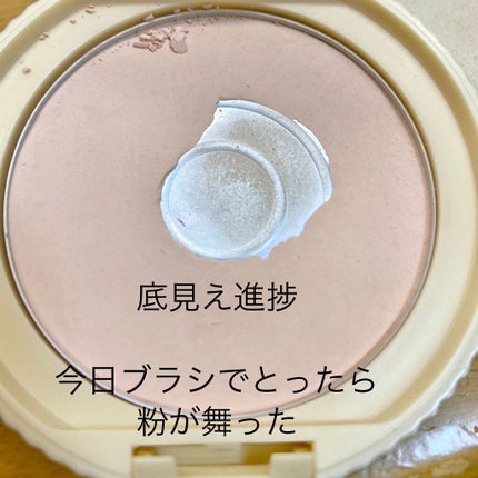 シルキースフレアイズ/キャンメイク/アイシャドウパレットを使ったクチコミ(3枚目)