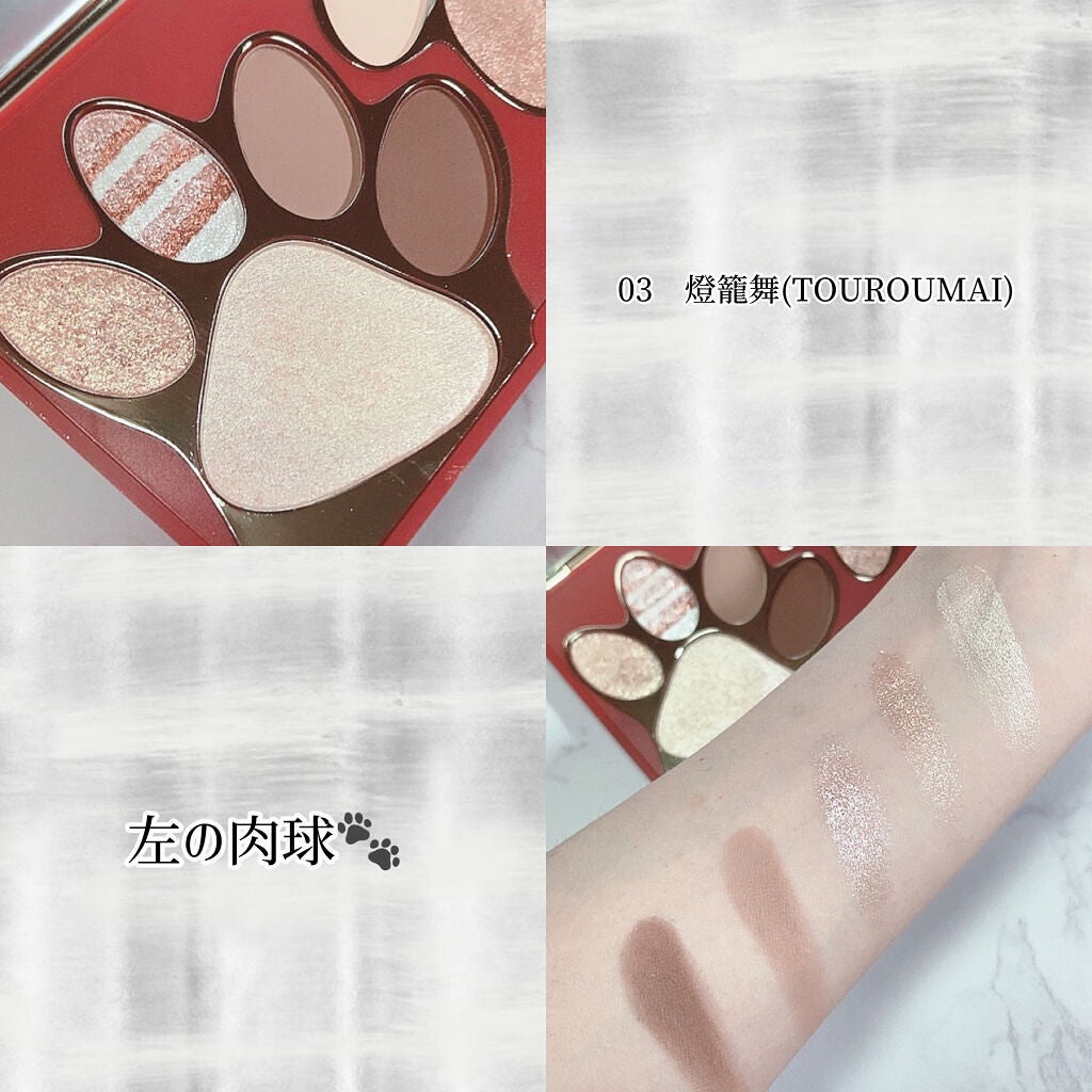 トラ十色アイシャドウパレット/COLORKEY/アイシャドウパレットを使ったクチコミ(4枚目)