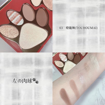 トラ十色アイシャドウパレット/COLORKEY/アイシャドウパレットを使ったクチコミ(4枚目)