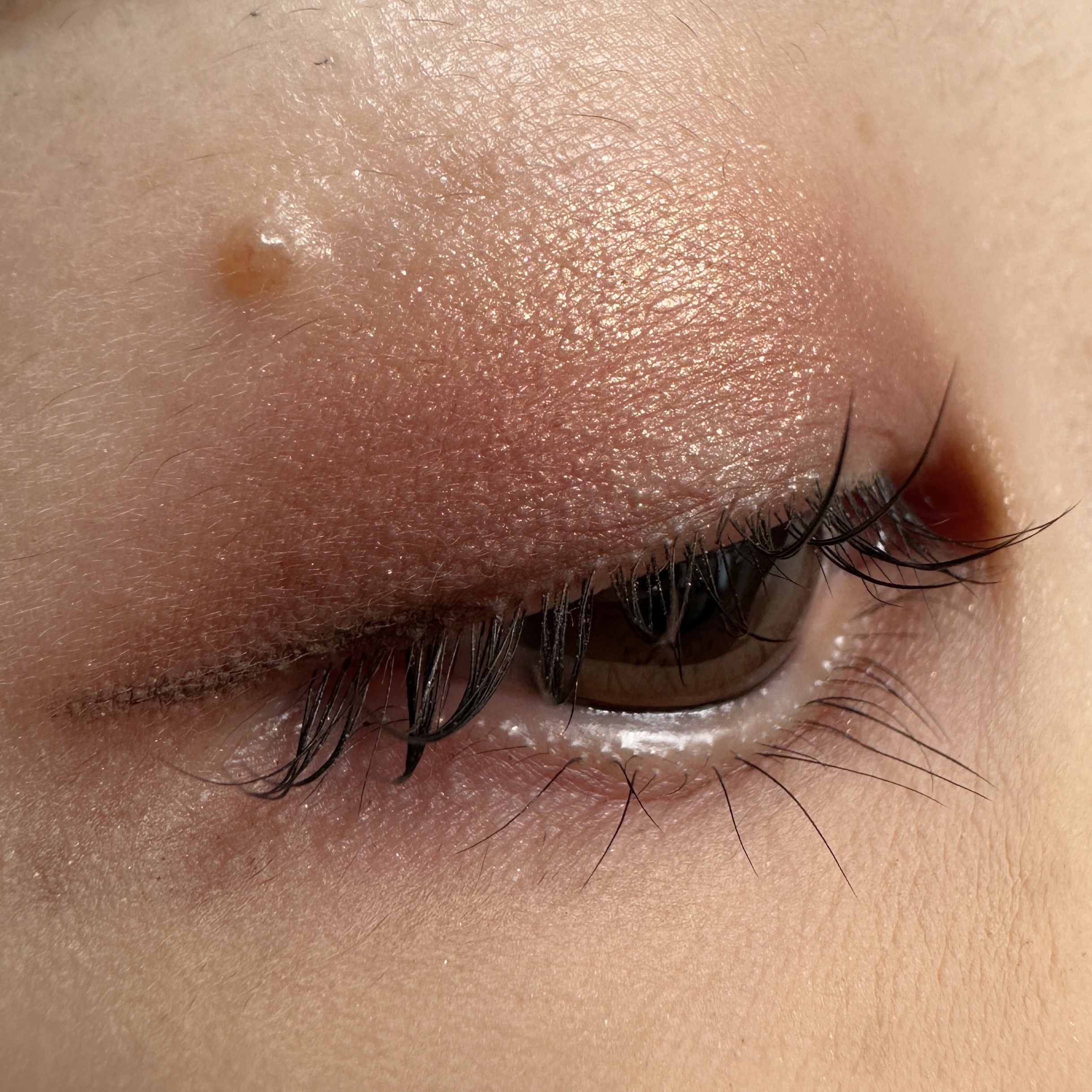 ポップ パウダージェル アイシャドウ/SHISEIDO/単色アイシャドウを使ったクチコミ（3枚目）