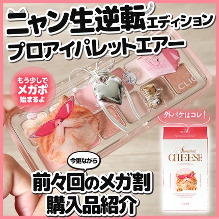 プロ アイ パレット エアー/CLIO/アイシャドウパレットを使ったクチコミ(1枚目)