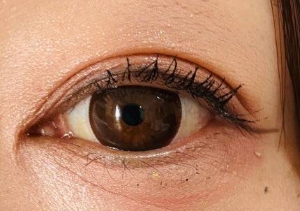 パノラマデザイン アイパレット/Visée/アイシャドウパレットを使ったクチコミ(2枚目)