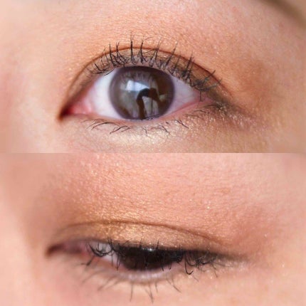 エクスプローラ12色 動物アイシャドウパレット/PERFECT DIARY/アイシャドウパレットを使ったクチコミ(7枚目)