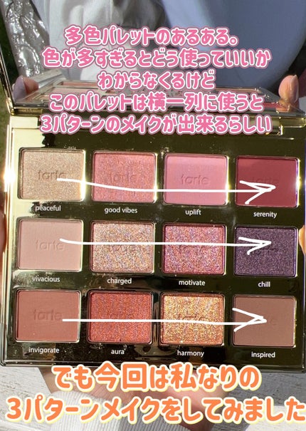 タルトレット E アマゾニアンクレイ パレット/tarte/アイシャドウパレットを使ったクチコミ(5枚目)