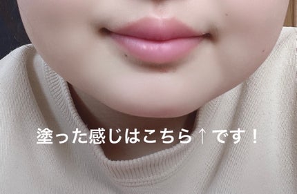 薬用スティックレギュラー/メンターム/リップクリームを使ったクチコミ(2枚目)