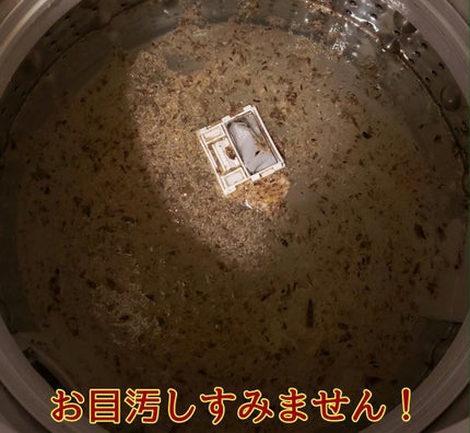 ðãªã€ãð on LIPS ãæåã«èšãããŠãã ããïŒä»ãŸã§æŽæ¿¯æ§œã¯å¹Ž2ïœ3åãææŽæ¿¯æ§œã¯ãª..ãïŒ4æç®ïŒ