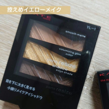 パーツリサイズシャドウ/KATE/アイシャドウパレットを使ったクチコミ(1枚目)