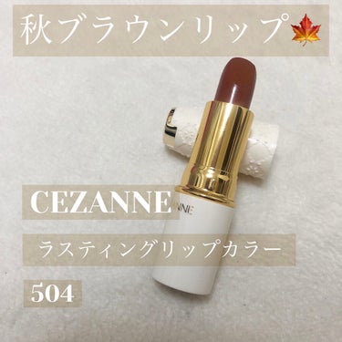 ラスティング リップカラーN/CEZANNE/口紅を使ったクチコミ（1枚目）