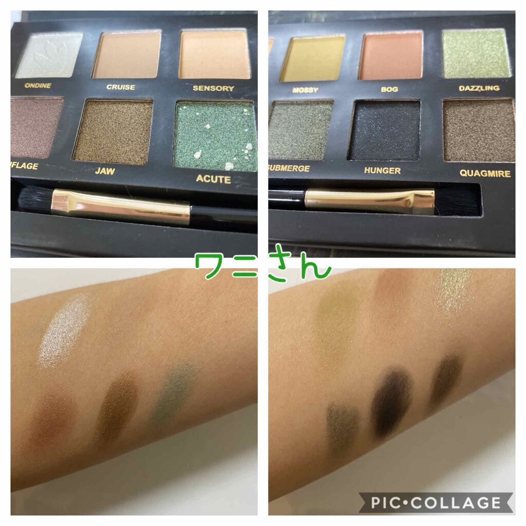 エクスプローラ12色 動物アイシャドウパレット/PERFECT DIARY/アイシャドウパレットを使ったクチコミ（2枚目）