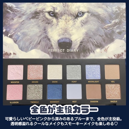 エクスプローラ12色 動物アイシャドウパレット/PERFECT DIARY/アイシャドウパレットを使ったクチコミ(3枚目)