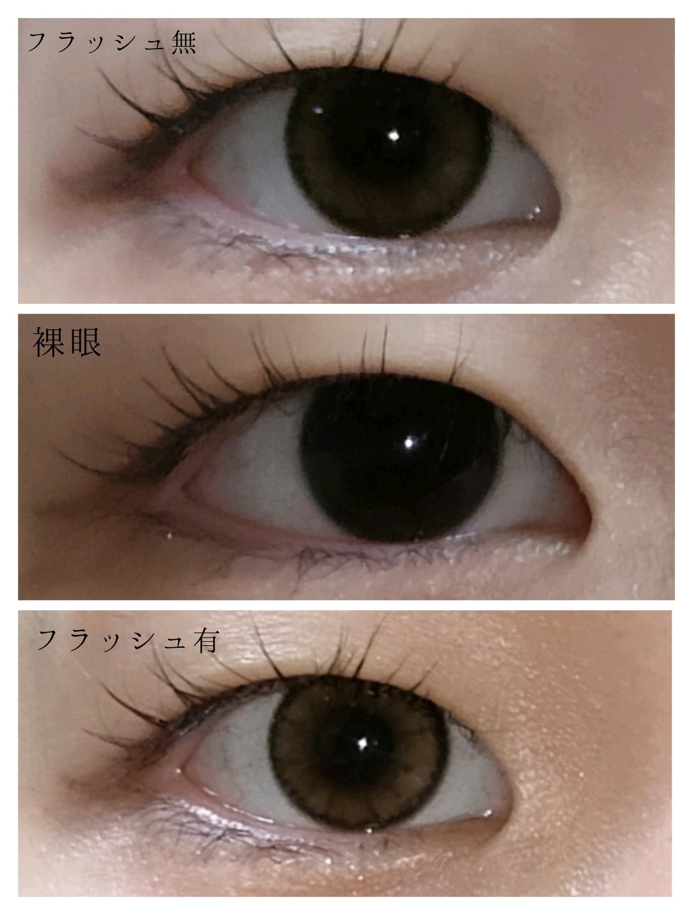 MOLAK 1day/MOLAK/ワンデー(1DAY)カラコンを使ったクチコミ(2枚目)