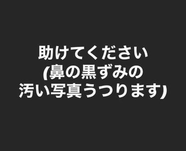 ハトムギ化粧水(ナチュリエ スキンコンディショナー R )/ナチュリエ/化粧水を使ったクチコミ（1枚目）