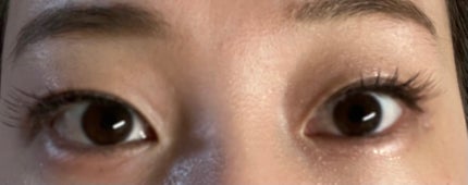 イージーラッシュ/ドーリーウインク/つけまつげを使ったクチコミ(1枚目)