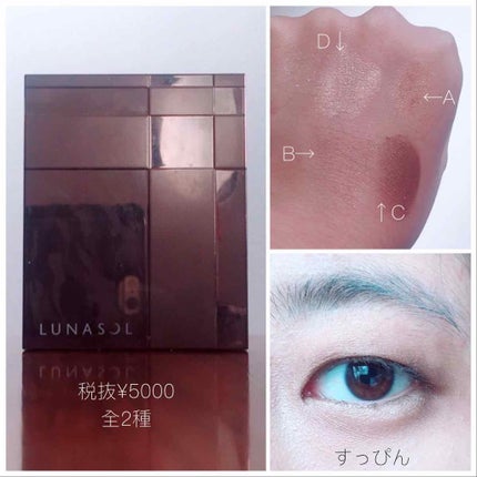 スキンモデリングアイズ/LUNASOL/アイシャドウパレットを使ったクチコミ(2枚目)