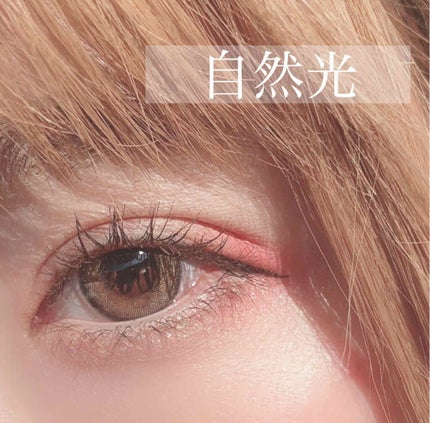 ReVIA 1day/ReVIA/ワンデー(1DAY)カラコンを使ったクチコミ(4枚目)