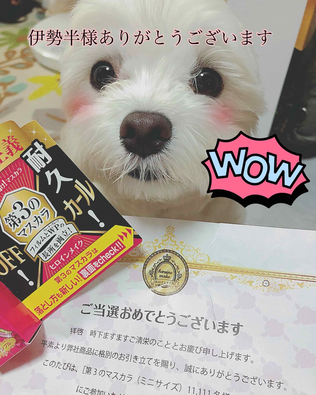 ロング&カールマスカラ アドバンストフィルム/ヒロインメイク/マスカラを使ったクチコミ(1枚目)