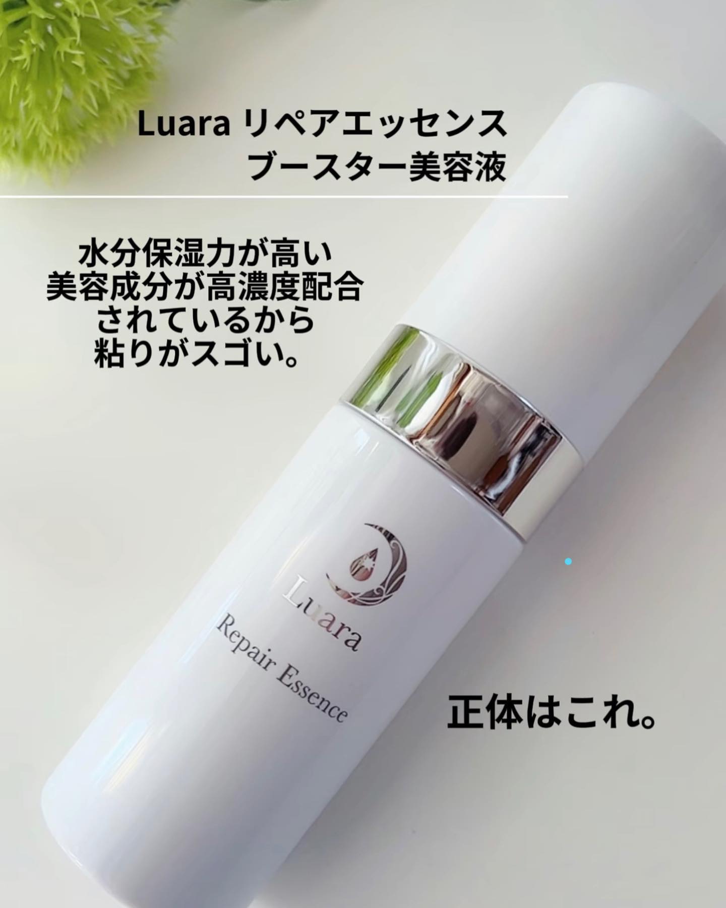 リペアエッセンス/Luara/ブースター・導入液を使ったクチコミ（2枚目）