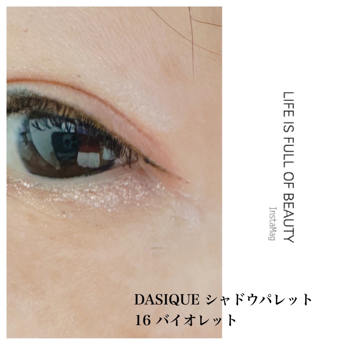 シャドウパレット/dasique/アイシャドウパレットを使ったクチコミ(4枚目)