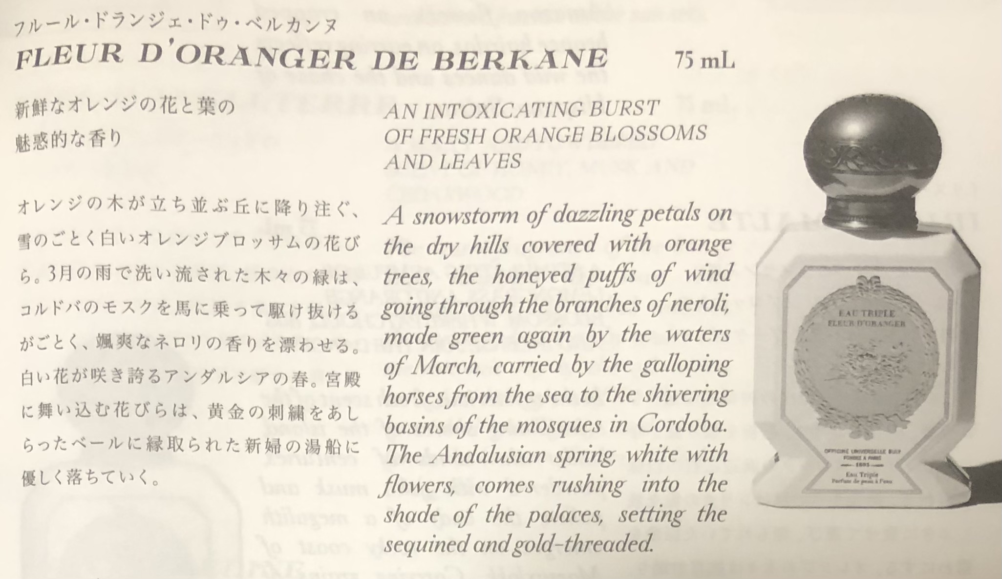 試してみた】オー・トリプル（フルール・ドランジェ・ドゥ
