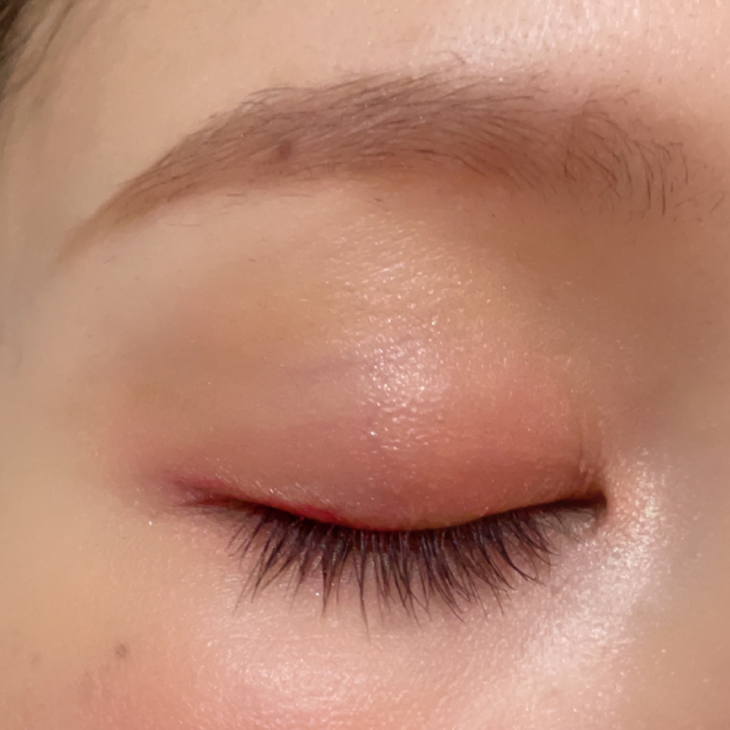 ジルスチュアート ニュアンスブロウパレット 06 red shade/JILL STUART/パウダーアイブロウを使ったクチコミ（2枚目）