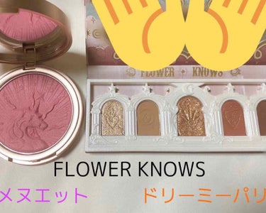 ユニコーンシリーズ アイシャドウパレット/FlowerKnows/アイシャドウパレットを使ったクチコミ（2枚目）