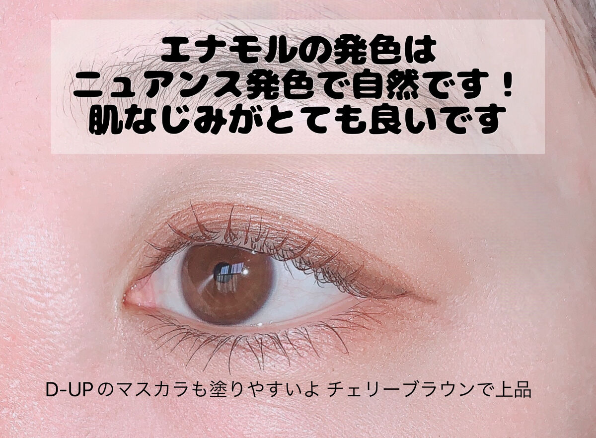 ニュアンスカラーアイズ 02 サンセットブラウン/Enamor/アイシャドウパレットを使ったクチコミ（3枚目）