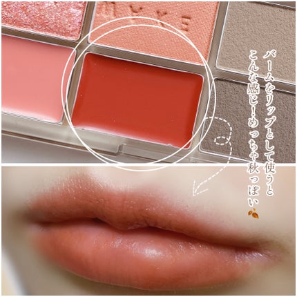 ソフトブラーリングアイパレット/wakemake/アイシャドウパレットを使ったクチコミ(5枚目)