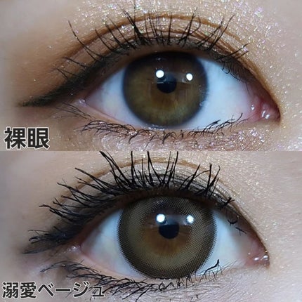 トリコニナル ワンデー/トリコニナル/ワンデー(1DAY)カラコンを使ったクチコミ(6枚目)