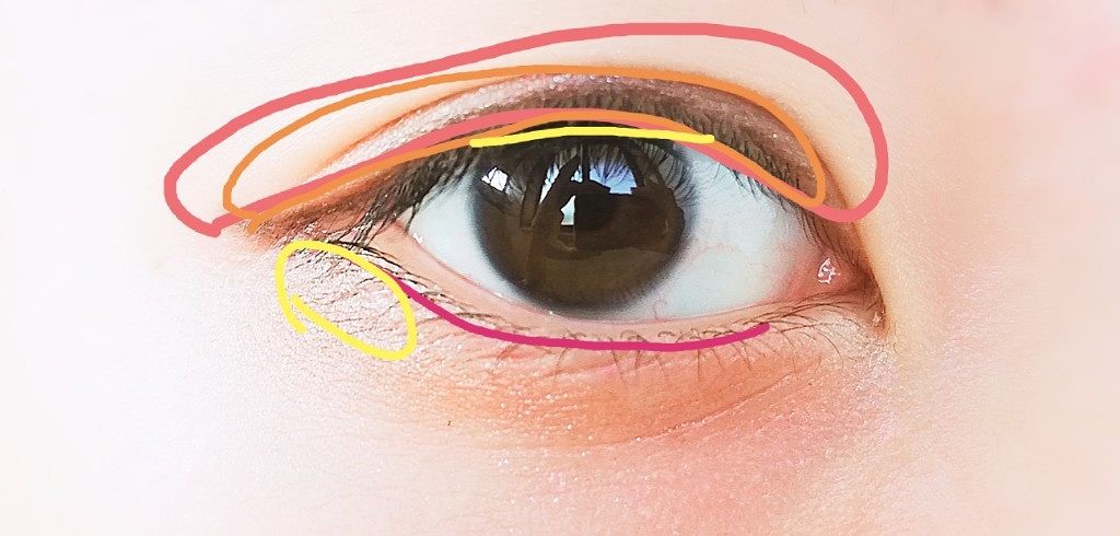 nicola 2019年9月号/nicola(ニコラ)/雑誌を使ったクチコミ（3枚目）