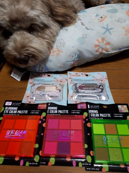 を使ったクチコミ(1枚目)