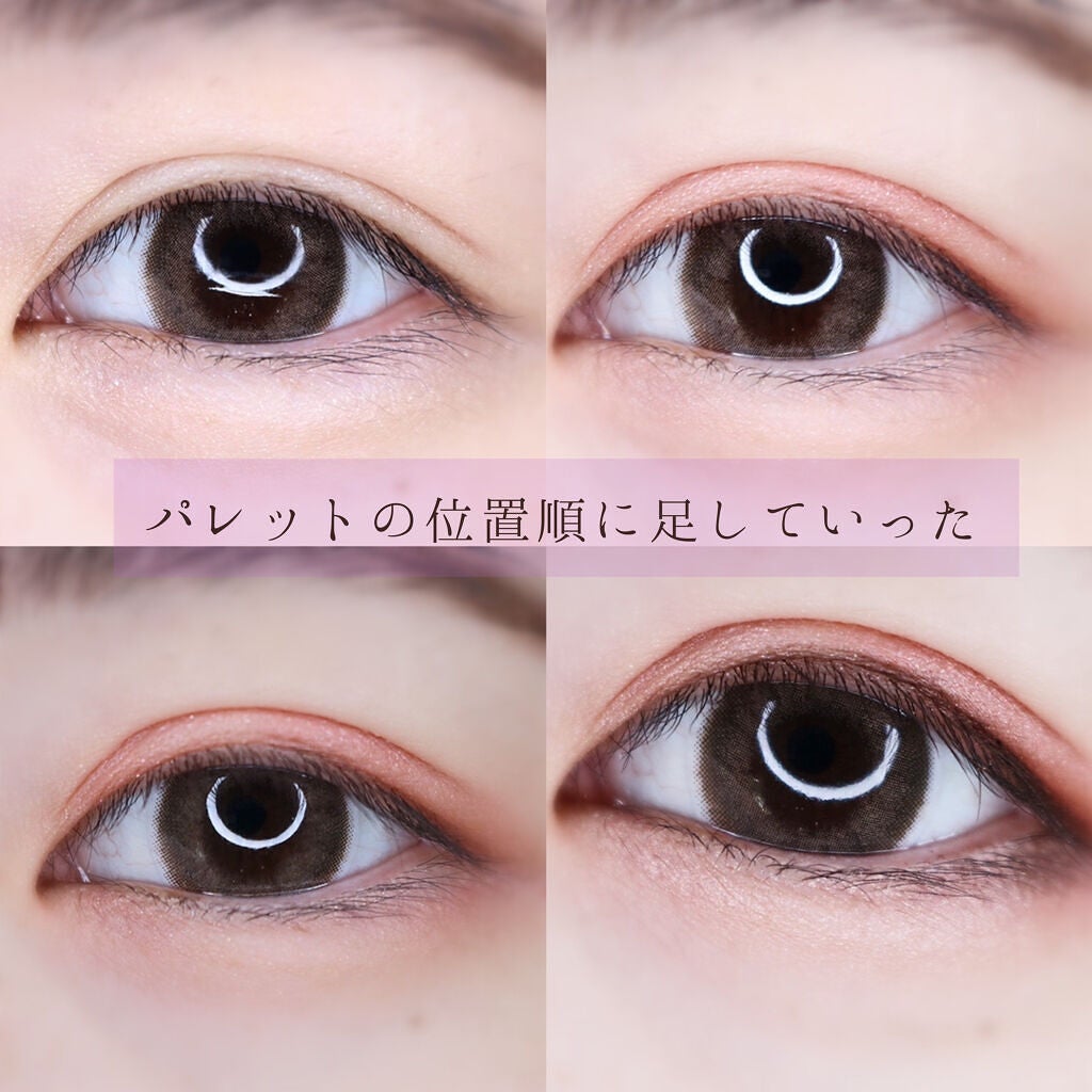 グロッシーリッチ アイズ N/Visée/アイシャドウパレットを使ったクチコミ(5枚目)