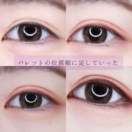 グロッシーリッチ アイズ N/Visée/アイシャドウパレットを使ったクチコミ(5枚目)