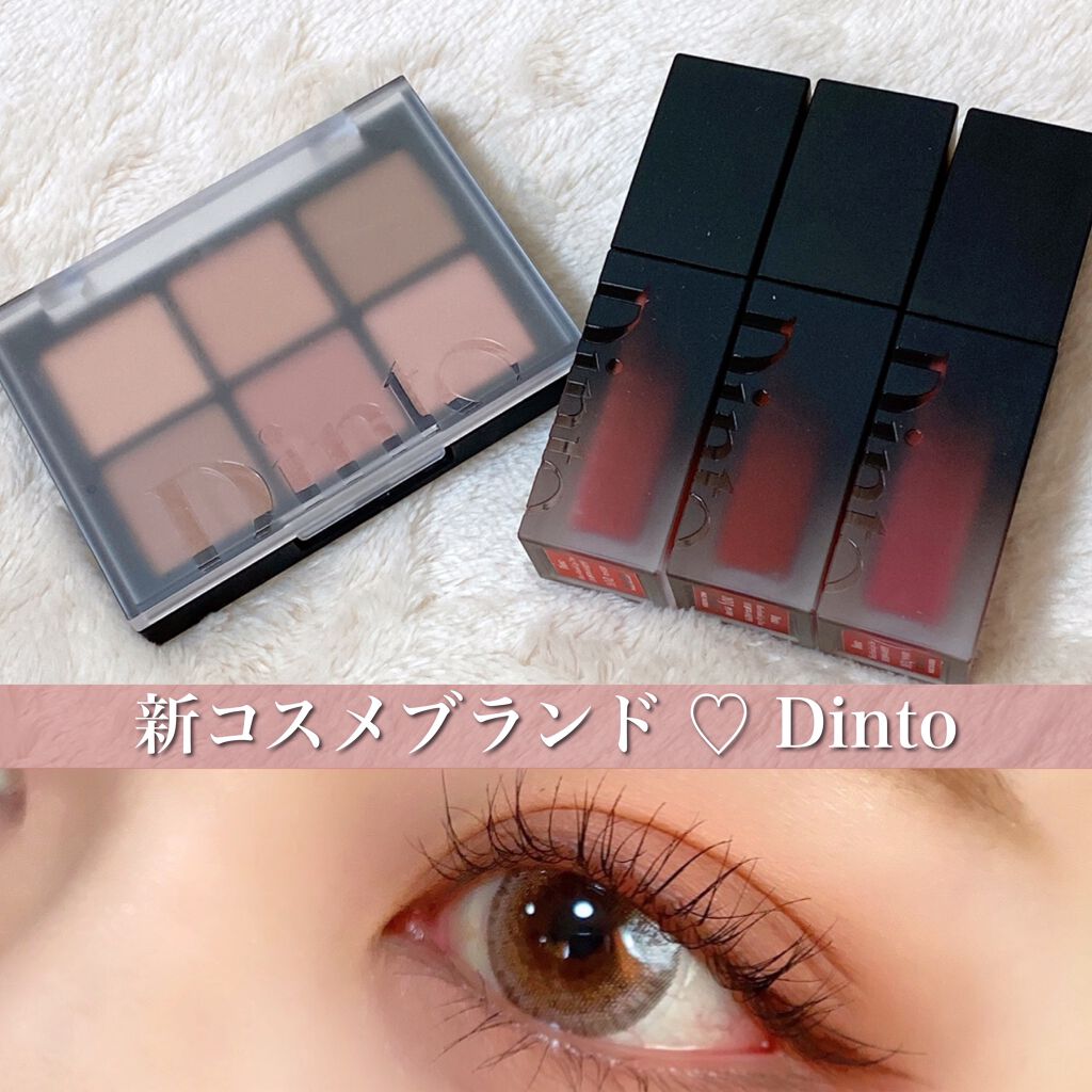 ブラーフィニシュリップティント/Dinto/リップティントを使ったクチコミ（1枚目）