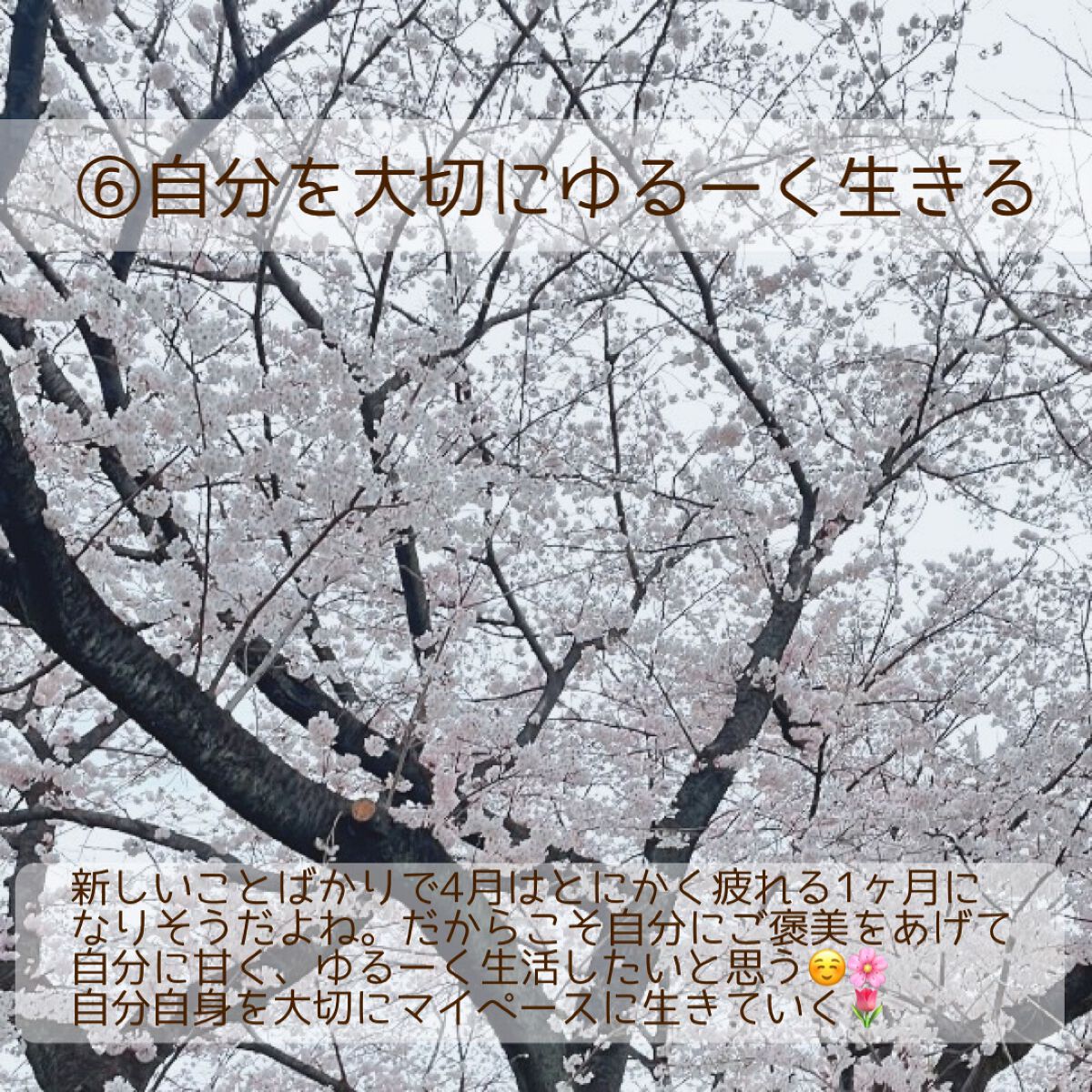 まな୨୧美容好き大学生の自分磨き記録 on LIPS 「今日は少し遅くなってしまったけど、私の4月の目標を紹介します🤍..」(7枚目)