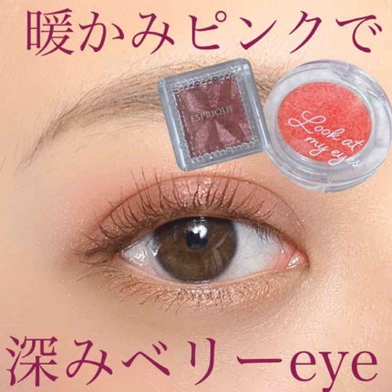 セレクト アイカラー N/ESPRIQUE/単色アイシャドウを使ったクチコミ(1枚目)